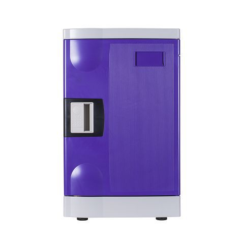 Wisteria Purple(001) Wisteria Purple(001)